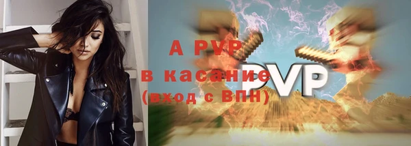 кокс Арсеньев