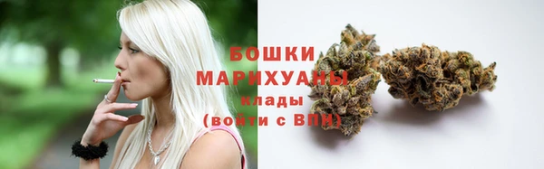 кокс Арсеньев