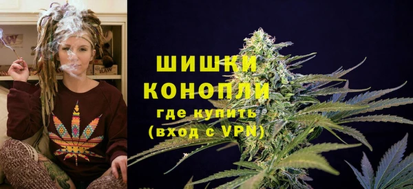 мяу мяу мука Аркадак