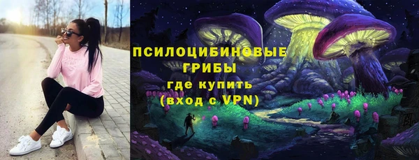 мдпв Пенза