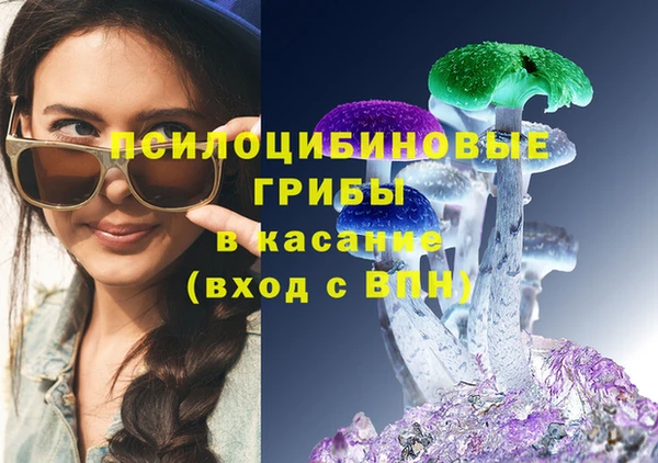 мяу мяу мука Аркадак