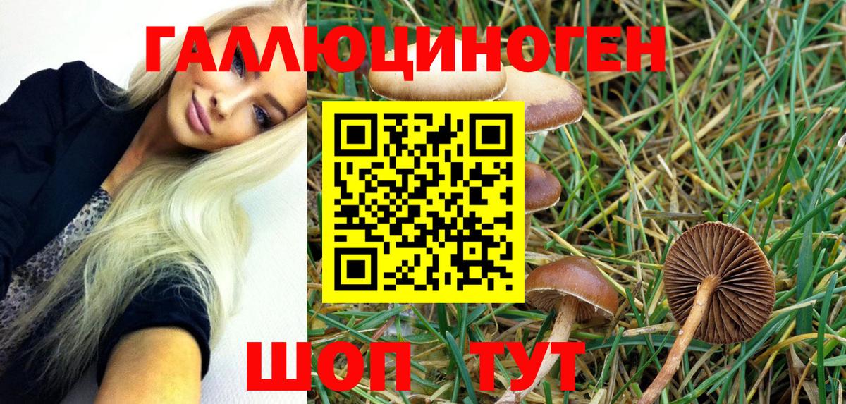 Похвистнево  Галлюциногенные грибы MAGIC MUSHROOMS  Вход с VPN  Псилоцибиновые грибы Psilocybe 